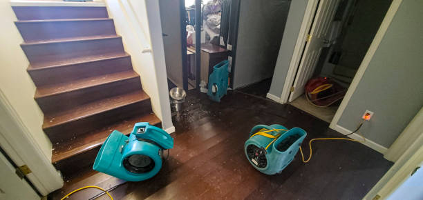 Local water damage restoration in NY