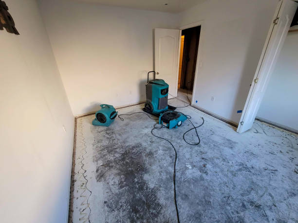 Best Basement water damage restoration  in East Atlantic Beach, NY