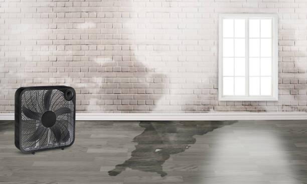 Best Ceiling water damage repair  in East Atlantic Beach, NY