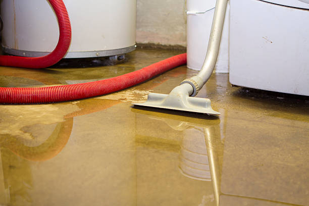 Best Water damage contractors near me  in East Atlantic Beach, NY
