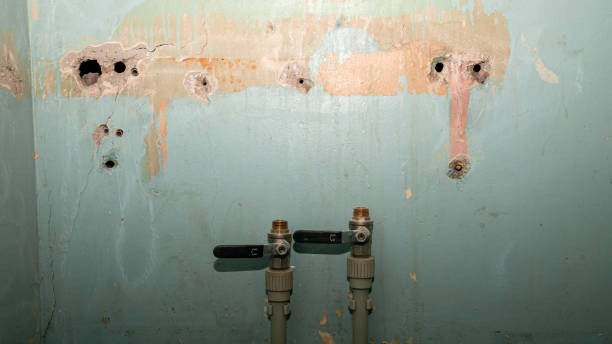 Best Water damage cleanup near me  in East Atlantic Beach, NY