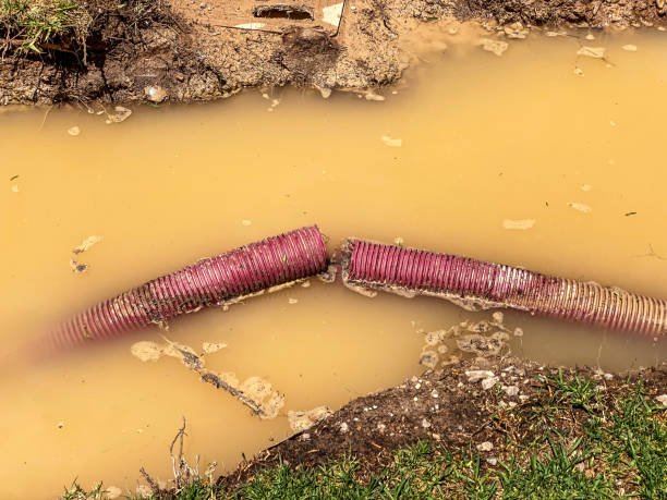 Best Professional water damage repair  in East Atlantic Beach, NY